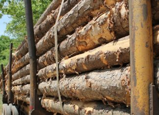 Motorradfahrer kam durch Verunreinigungen zu Sturz