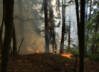 Aufgrund extremer Trockenheit und Hitze gilt Feuerverbot