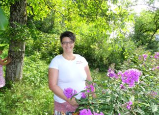 Ein wahrer Allrounder für die Gesundheit