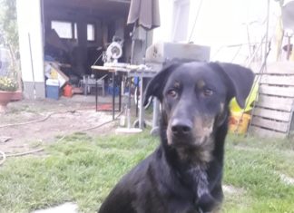 Wer hat mich gesehen?