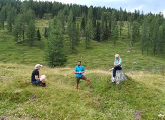 Die Buckelwiesen der Egger Alm