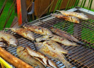 Liebhaber von gutem Fisch aufgepasst