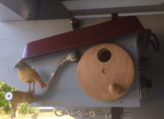 Wenn aus Abfall kuriose Nistkästen entstehen