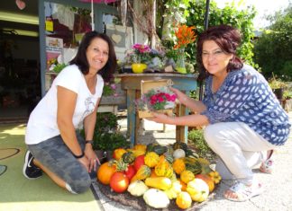 kreat>EVE< ´r Start in die Herbstsaison