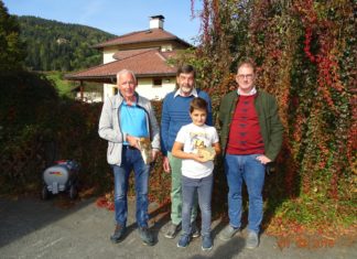 Sensationeller Fossilienfund in Hermagor