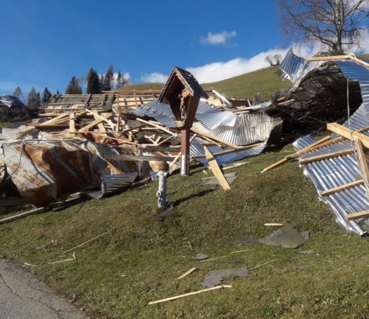 Es besteht Hoffnung…