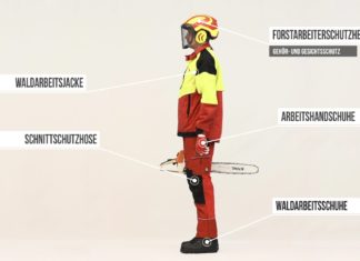 Sicherheit bei der Waldarbeit