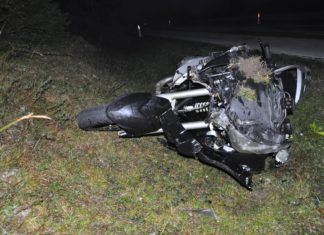 Motorradlenker übersah Kalb und tötete es beim Zusammenstoß