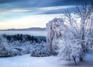 Das bietet der Süden von Österreich