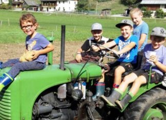 Üppige Kartoffelernte