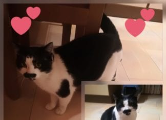 Weihnachtswunder geschehen doch!