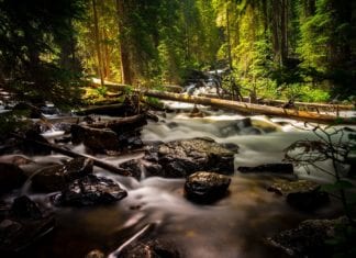 Finanzierung von Projekten zur Wildbach- und Lawinenverbauung über Gemeindeverband Karnische Region