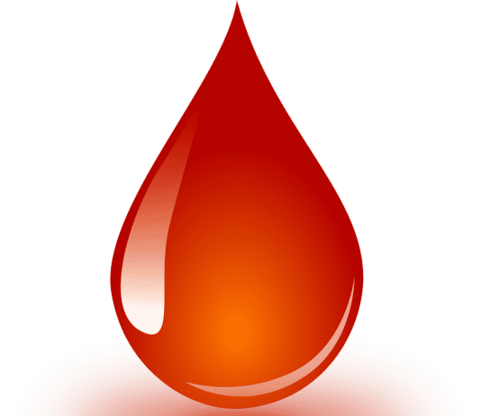 Blutspendetermine Oktober 2022