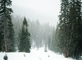 Flutlichtanlage rettete abgestürztem Bergwanderer das Leben