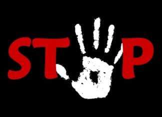 VCÖ: Schreckliche Bilanz