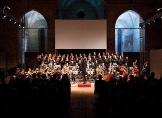 Junge Musiker für grenzüberschreitendes Orchester gesucht