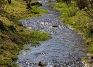 Leiflingerbach wird hochwassersicher gemacht