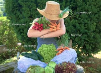 Frisch – heimisch – kunterbunt