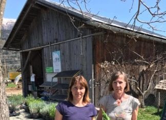 Gemüsefarm eröffnet