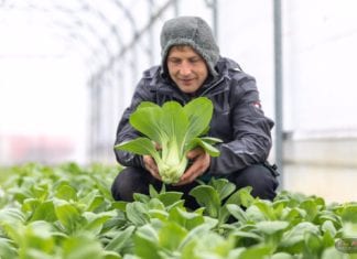 Saison Start beim Gemüsebauer Kunz