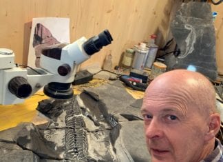 Von edlen Krebsen und alten Sauriern – urzeitliche Lebewesen im Naturpark Weißensee