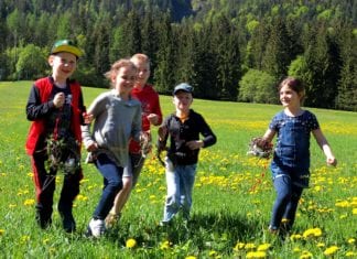 Österreichweiter Aktionstag der Naturpark-Schulen und Kindergärten