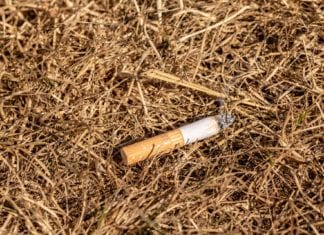 Verordnung durch Bezirkshauptmannschaft!