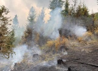Update:Waldbrand in der Gemeinde St. Stefan im Gailtal