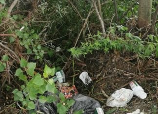 Umweltsünder in Dellach! Muss das sein?