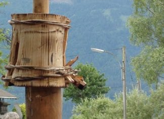 Schwerer Reitunfall beim Kufenstechen in St.Paul/Gailtal