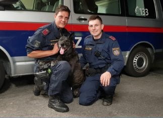 Erfolgreiche Suchaktion nach flüchtigem Lenker