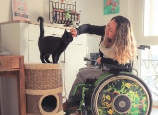 Entspannt beim Tierarzt mit Hund