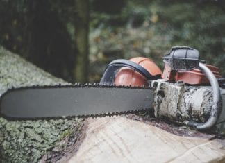 Ast schnellte in die Höhe und traf Forstarbeiter: Verletzt!