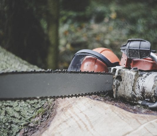 Forstunfall im Lesachtal