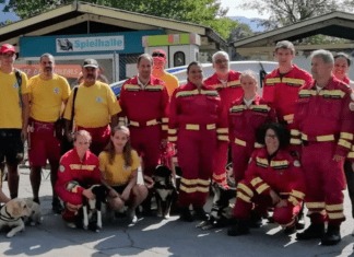 Rettungshundetraining