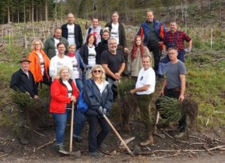 Riedergarten Immobilien im Einsatz für den Wald: Aufforstung im Gitschtal und For Forest