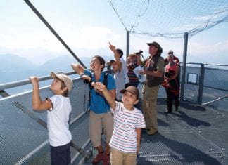 Großer Erfolg für die 12. Greifvogelwochen im Naturpark Dobratsch