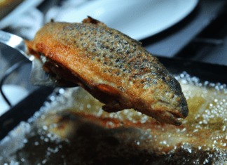 Kulinarik rund um den Fisch