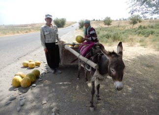 Familie Stolk reist durch Usbekistan uns Turkmenistan
