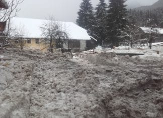 Nassschneelawine in Rüben/Dellach richtete erhebliche Schäden an