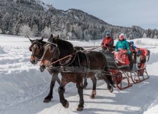 Der Naturpark Weißensee plant wieder ein spannendes Winterprogramm