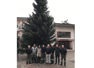 Ein Weihnachtsbaum für Tarcento