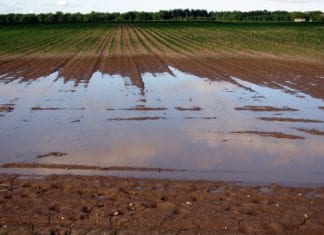Auch Bad Bleiberg wurde von den starken Regenfällen nicht verschont