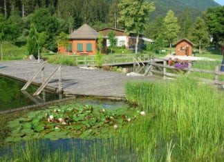 Verpachtung des Badebuffets im Naturschwimmbad Waldbad Mauthen