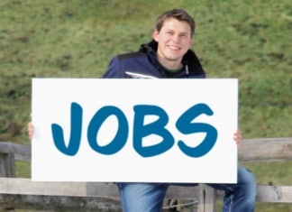 Job im Gailtal – Bürokraft gesucht!