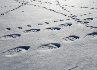 Wanderunfall auf der Alm hinterm Brunn