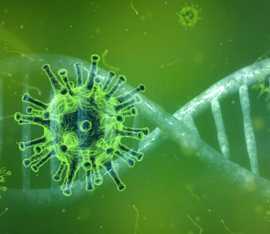 Koordinationsgremium des Landes tagte