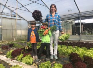 Gemüsefarm Würmlach startet in die Saison!