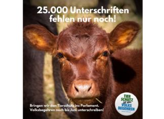 Tiertransporte: Die Tiere in der Krise nicht vergessen