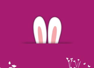 Was wünschen Sie sich vom Osterhasen?